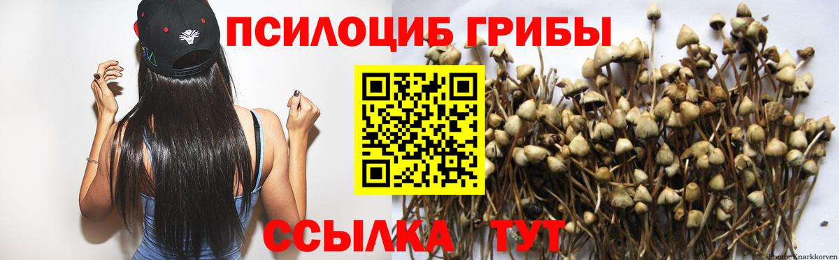 Галлюциногенные грибы мухоморы  Вход с VPN  Асино 